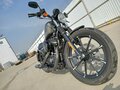 2019 Harley-Davidson Sportster 883, серый - вид 1