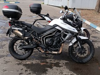 2016 Triumph Tiger 800, белый, 720000 рублей, вид 4