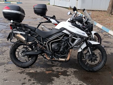 2016 Triumph Tiger 800, белый, 720000 рублей, вид 4