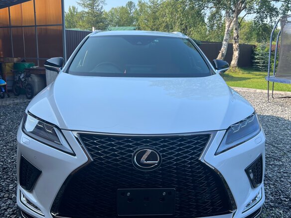2019 Lexus RX 300 IV Рестайлинг, белый, 5100000 рублей - вид 3