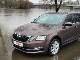2017 Skoda Octavia III (A7) Рестайлинг, коричневый, 2100000 рублей, вид 4