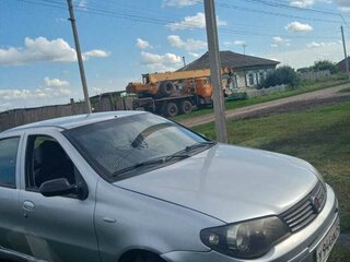 2010 Fiat Albea I Рестайлинг, серебристый, 397000 рублей, вид 2