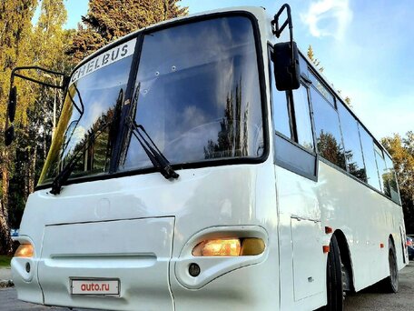 2006 ПАЗ 4230 Аврора, белый, 600000 рублей, вид 2