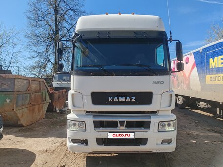 2017 КамАЗ 5490 NEO, белый, 4500000 рублей, вид 1