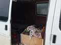1999 Ford Transit, белый, 380000 рублей - вид 10