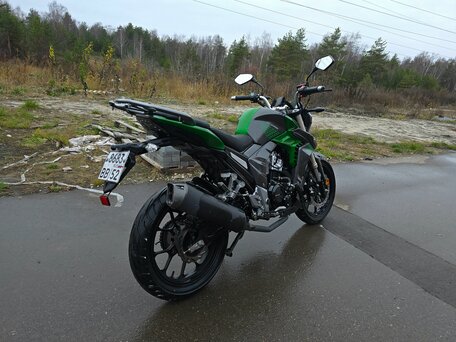 2024 Regulmoto T-Leopard 300, зелёный, 180000 рублей, вид 3