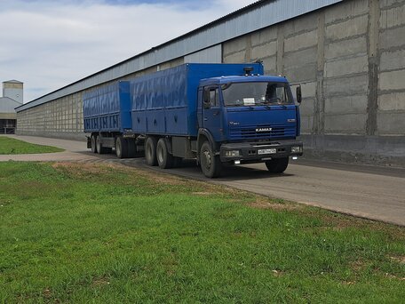 2006 КамАЗ 65115, синий, 2300000 рублей, вид 1