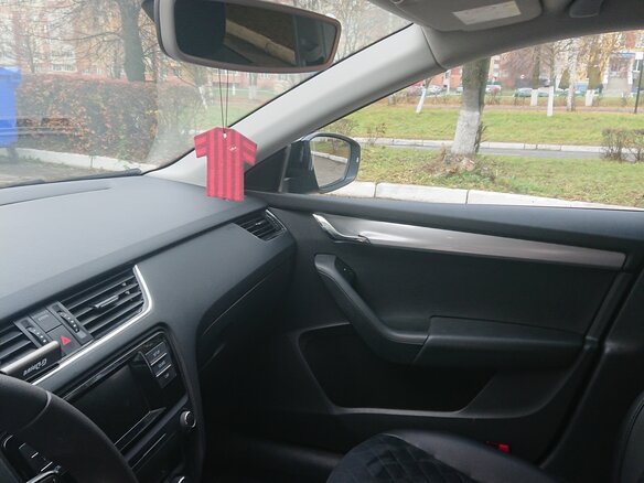 2016 Skoda Octavia III (A7), чёрный - вид 12