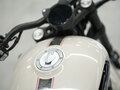 2026 Benda Chinchilla 500, серый, 650000 рублей - вид 7