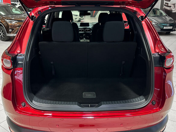 2018 Mazda CX-8 I, красный, 2497000 рублей - вид 14