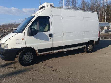 2008 Fiat Professional Ducato, белый, 750000 рублей, вид 2
