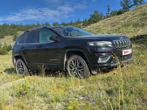 2018 Jeep Cherokee V (KL) Рестайлинг, чёрный, 2750000 рублей - вид 8