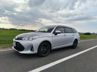 2021 Toyota Corolla Fielder XI (E160, E170) Рестайлинг 2, серебристый, 1930000 рублей, вид 1