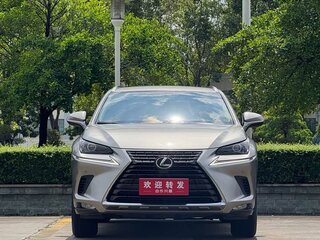 2018 Lexus NX 200 I Рестайлинг, серый, 2340000 рублей, вид 2