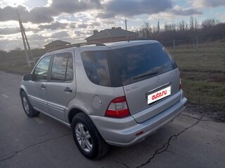 2003 Mercedes-Benz M-Класс 350 I (W163) Рестайлинг, серый, 700000 рублей, вид 4