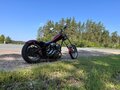 2004 Harley-Davidson Softail Custom, красный - вид 2