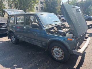 2010 Lada (ВАЗ) 2131 (4x4) 213105 I, серый, 300000 рублей, вид 3