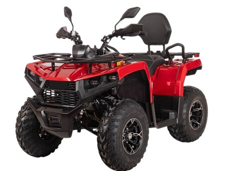 2026 Bizon YK250 LUX EFI, чёрный, 268000 рублей, вид 1