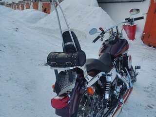 2001 Harley-Davidson Dyna Low Rider, пурпурный, 920000 рублей, вид 1