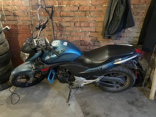 Stels Flex 250
