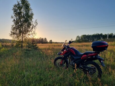 2022 Shineray Fireguard 250 Trail, красный, 147000 рублей, вид 1