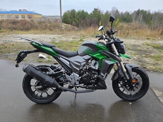 2024 Regulmoto T-Leopard 300, зелёный, 180000 рублей, вид 5