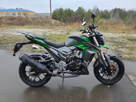 2024 Regulmoto T-Leopard 300, зелёный, 180000 рублей, вид 5