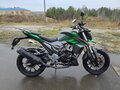 2024 Regulmoto T-Leopard 300, зелёный, 180000 рублей - вид 4