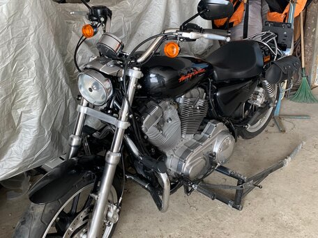 2014 Harley-Davidson Sportster 883, чёрный, 720000 рублей, вид 3