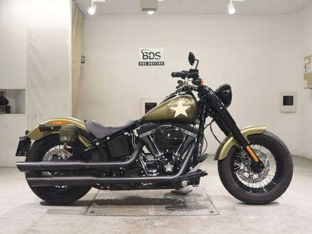 2017 Harley-Davidson Softail Slim, зелёный, 1315000 рублей, вид 2