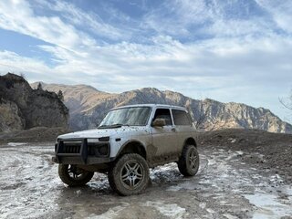 2005 Lada (ВАЗ) 2121 (4x4) I Рестайлинг, белый, 380000 рублей, вид 5
