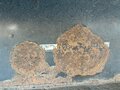 1994 Schmitz Cargobull SPR, серый, 450000 рублей - вид 10