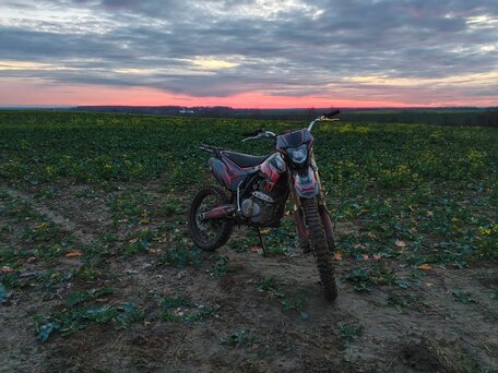 2022 BSE Z3, красный, 110000 рублей, вид 5