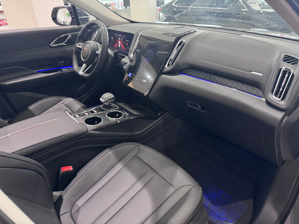 2025 Hongqi HS3, серый, 3199000 рублей - вид 12