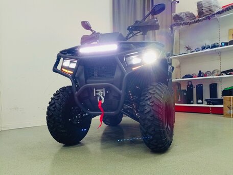 2025 Другие ATV (другие), чёрный, 259900 рублей, вид 4