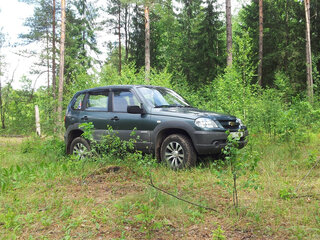 2011 Chevrolet Niva I Рестайлинг, зелёный, 440000 рублей, вид 1