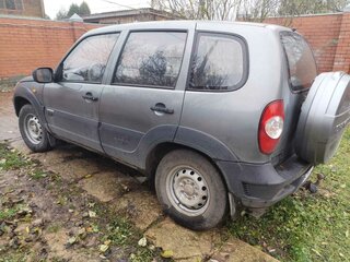 2010 Chevrolet Niva I Рестайлинг, серый, 410000 рублей, вид 3