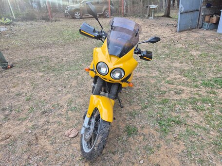 2000 Triumph Tiger 955i, жёлтый, 300000 рублей, вид 1