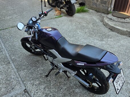 2016 Yamaha YS250 Fazer, фиолетовый, 245000 рублей, вид 4