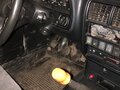 1998 ГАЗ 3110 «Волга», серый, 120000 рублей - вид 7