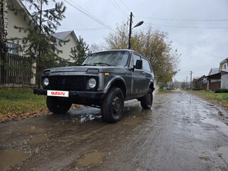 1995 Lada (ВАЗ) 2121 (4x4) I Рестайлинг, серый, 97000 рублей, вид 1