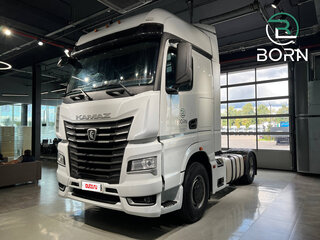 2022 КамАЗ 54901, белый, 3490000 рублей, вид 4