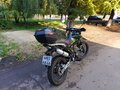 2024 Regulmoto TE PR, зелёный, 155000 рублей - вид 11