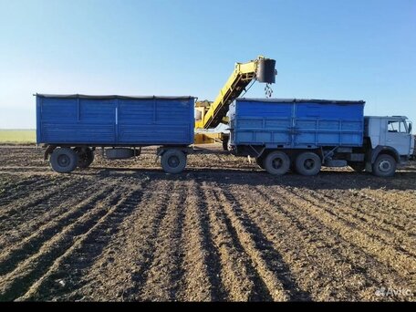 1986 КамАЗ 5320, серый, 350000 рублей, вид 4
