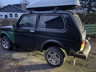 2013 Lada (ВАЗ) 2121 (4x4) I Рестайлинг, зелёный, 320000 рублей, вид 5