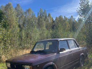 2008 Lada (ВАЗ) 2105, красный, 170000 рублей, вид 2