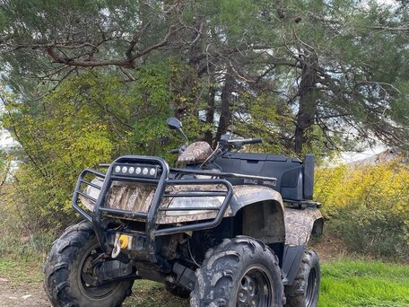 2012 Arctic Cat 650 Series, коричневый, 349000 рублей, вид 1