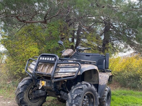 2012 Arctic Cat 650 Series, коричневый, 349000 рублей