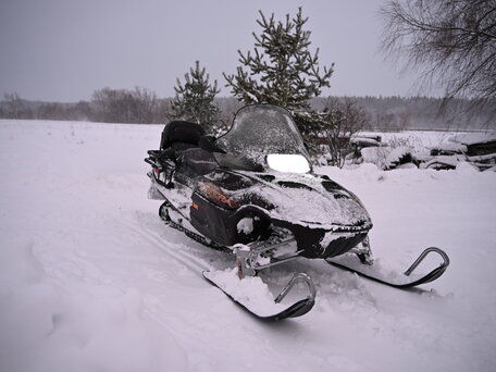 2003 Arctic Cat Pantera, коричневый, 630000 рублей, вид 4