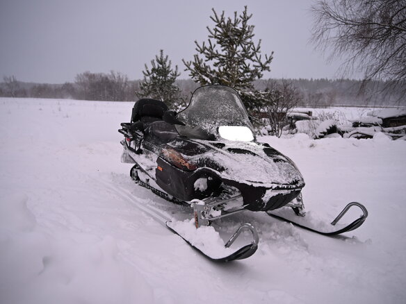 2003 Arctic Cat Pantera, коричневый, 630000 рублей - вид 3